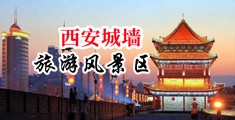 臭脚帅哥同志深喉射精视频中国陕西-西安城墙旅游风景区